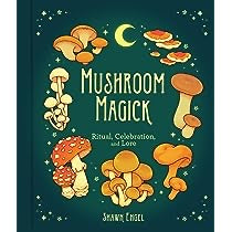 Mushroom Magick - Lighten Up Shop