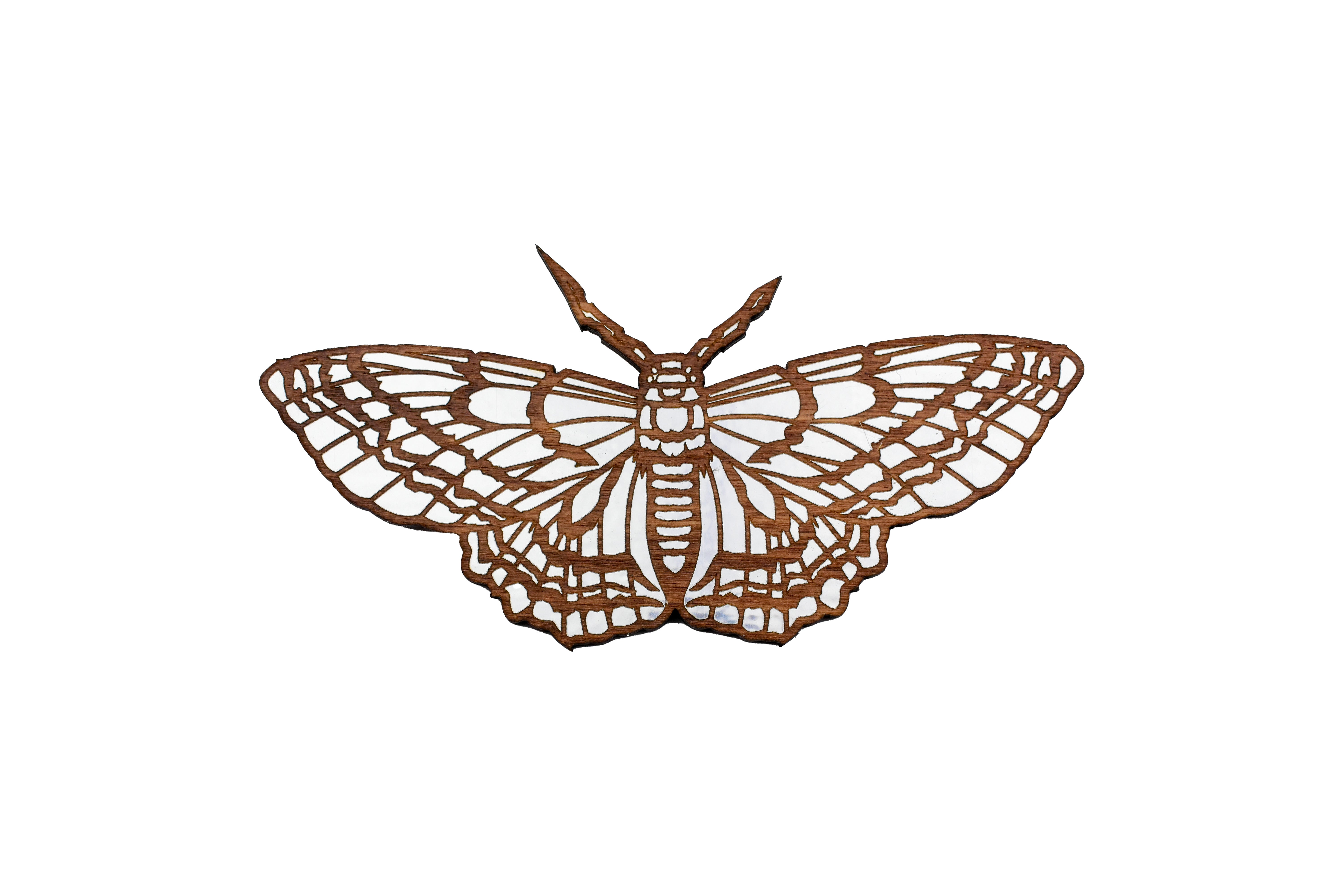 Butterfly Magnet with Silver