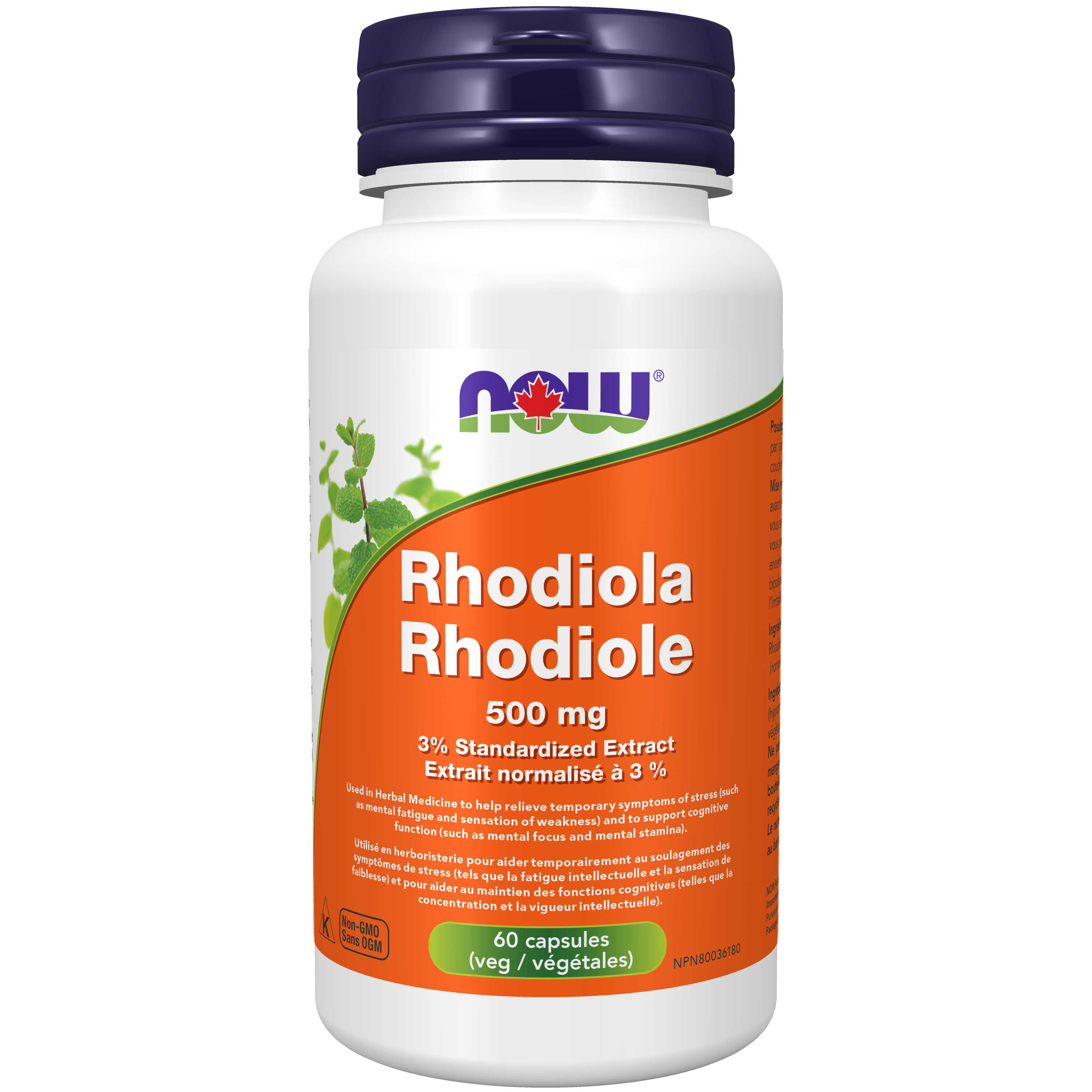 Rhodiola 500mg - 60 Capsules - Lighten Up Shop