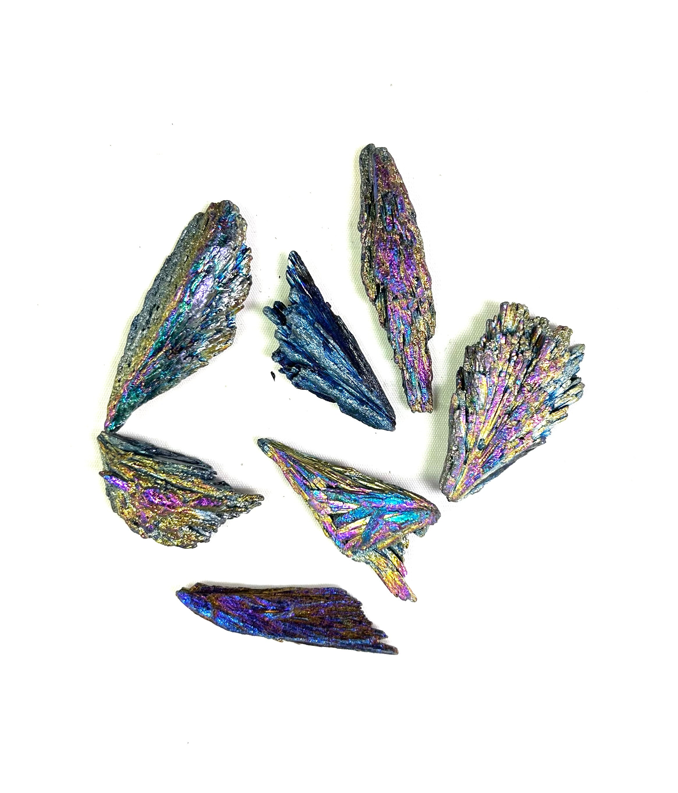 Rainbow Black Kyanite Loose Raw
