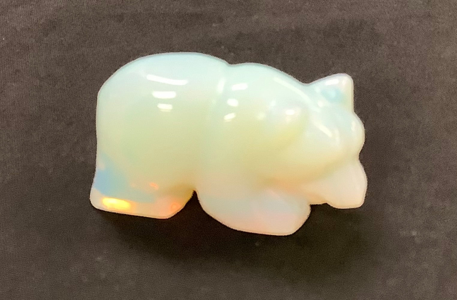 Opalite Bear - Lighten Up Shop