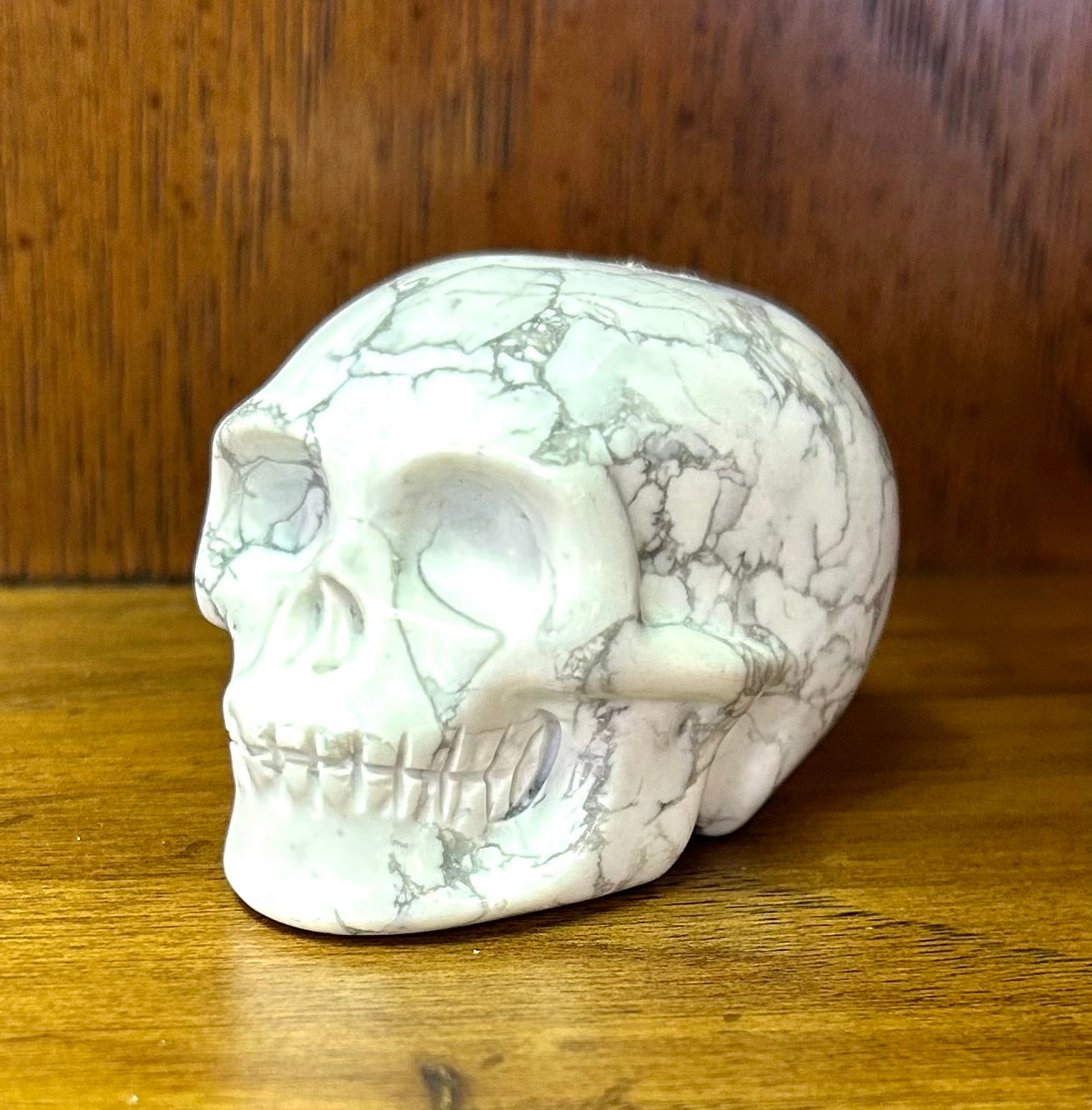 Howlite Skull