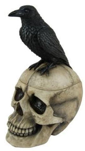 Raven on Skull Container - Lighten Up Shop