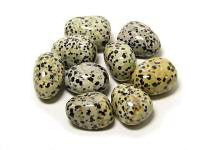 Dalmation Jasper Loose Tumbled - Lighten Up Shop