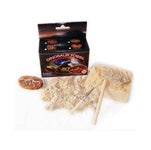 Dinosaur Fossil Excavation Kit - Lighten Up Shop