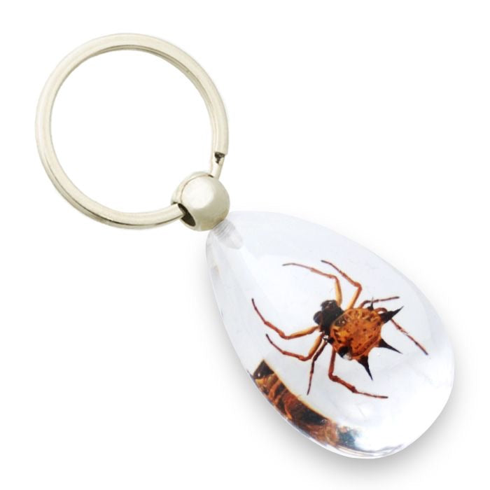 Spider Keychain - Lighten Up Shop