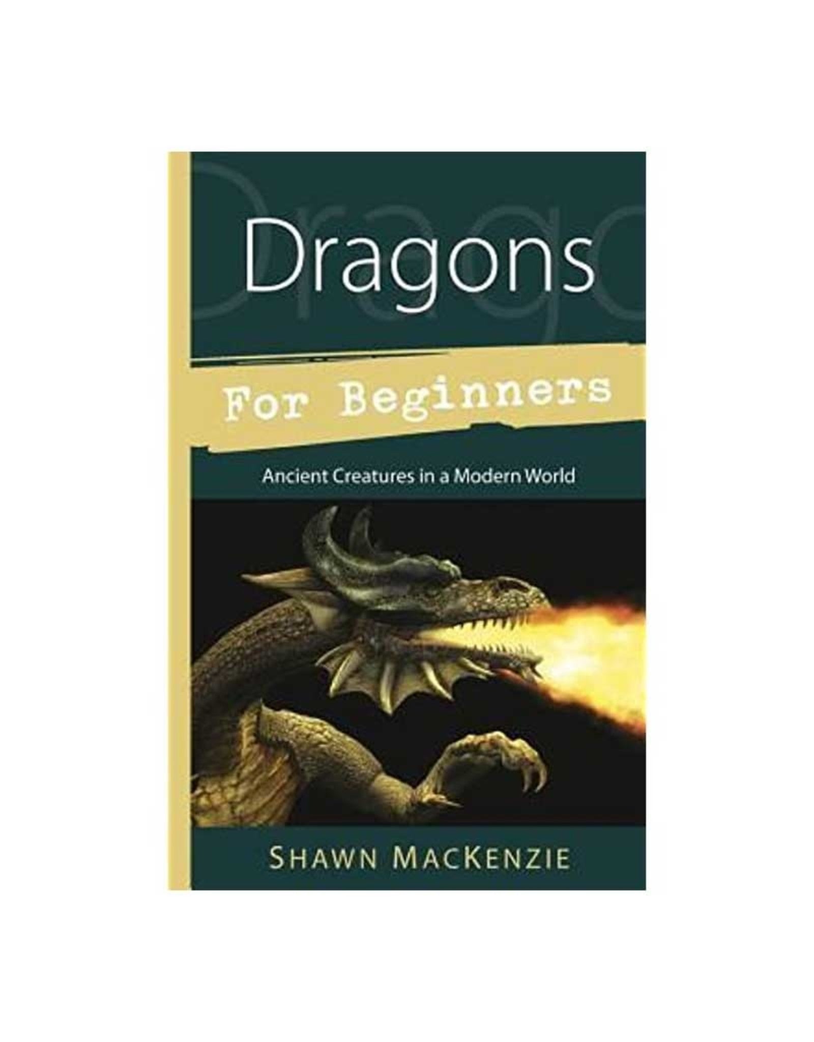 Dragons for Beginners - Lighten Up Shop