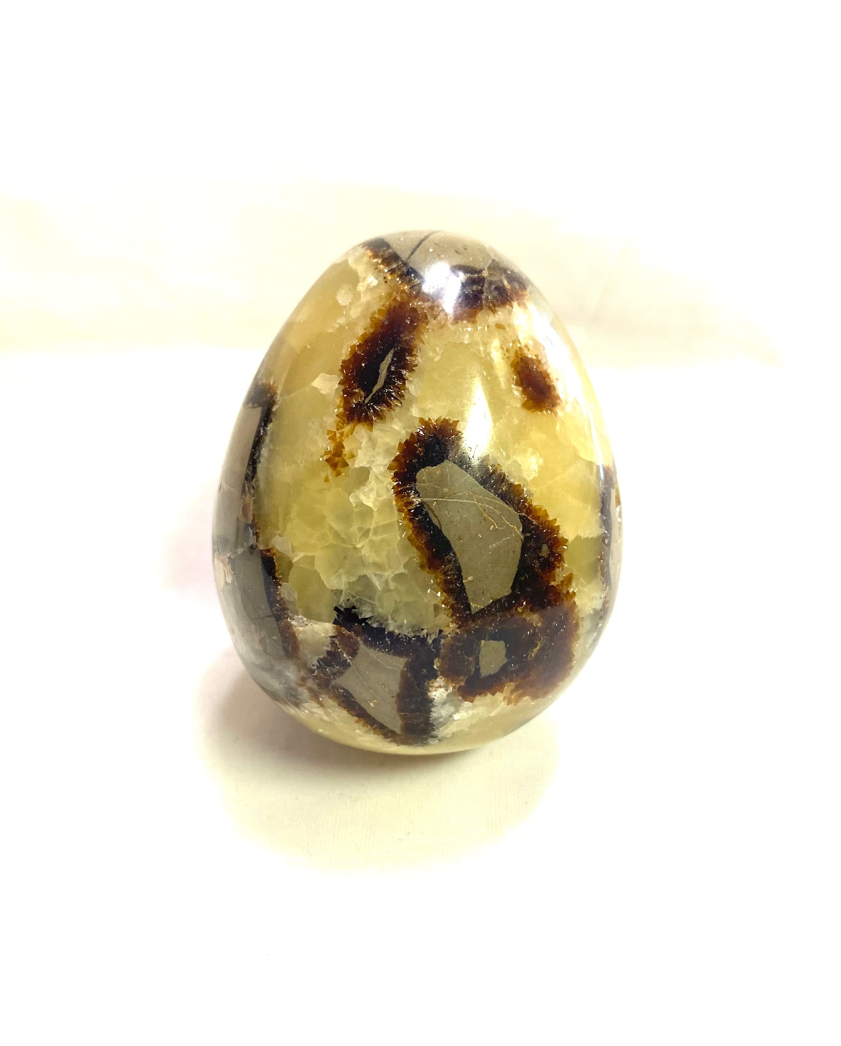 Septarian Egg - Lighten Up Shop