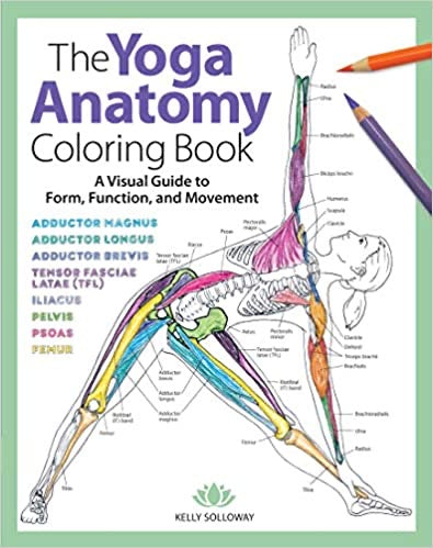 The Yoga Anatomy Coloring Book - Lighten Up Shop