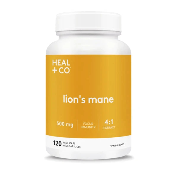 Heal + Co Lion’s Mane - Lighten Up Shop