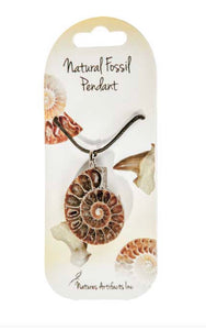 Natural Fossil Pendant - Lighten Up Shop