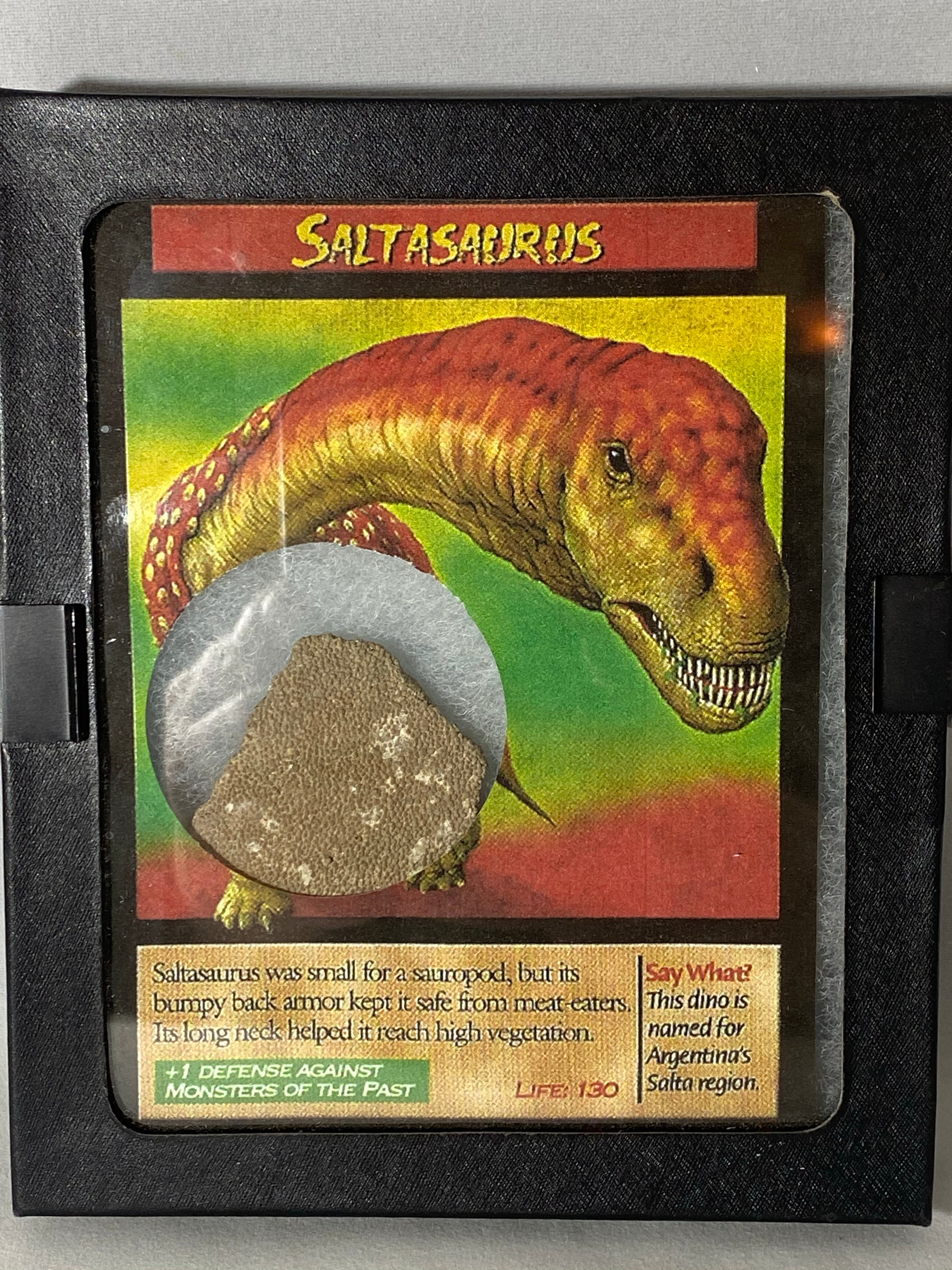 Saltasaurus Skin Fossil - Lighten Up Shop