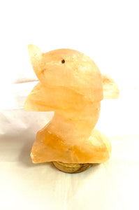 Dolphin  Salt Rock Lamp - Lighten Up Shop