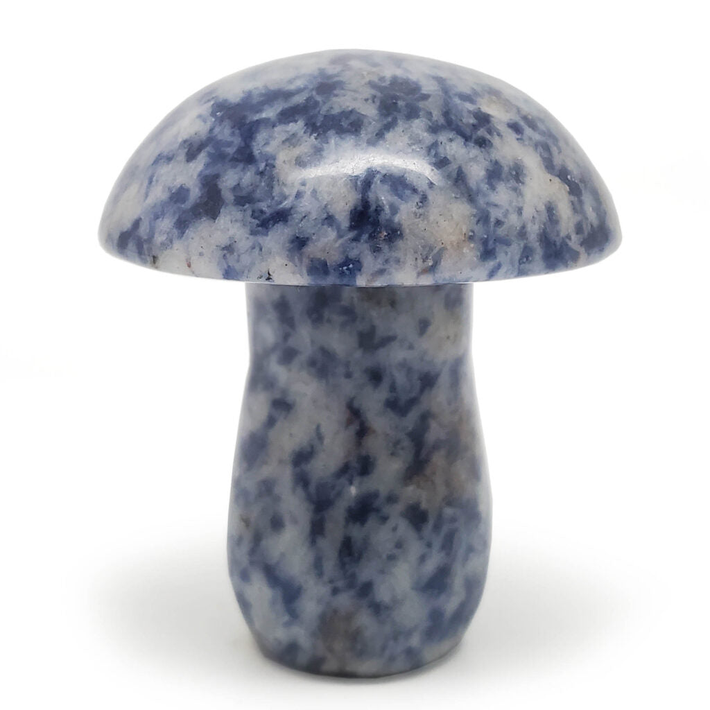 Sodalite Carved Mushroom (2”) - Lighten Up Shop