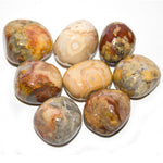 Crazy Lace Agate Loose Tumbled - Lighten Up Shop